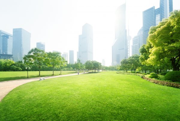 Commercial Landscape Maintenance in Huntsville