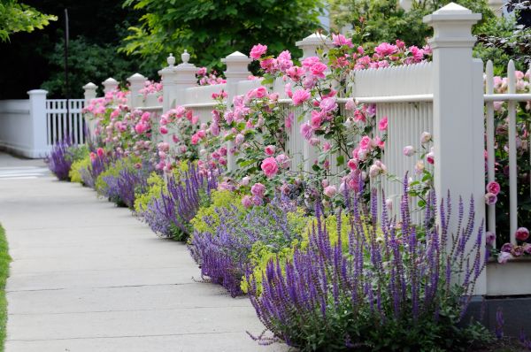 Garden Handyman Service in Huntsville