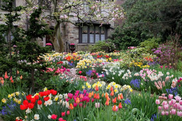 Garden Maintenance Service in Huntsville