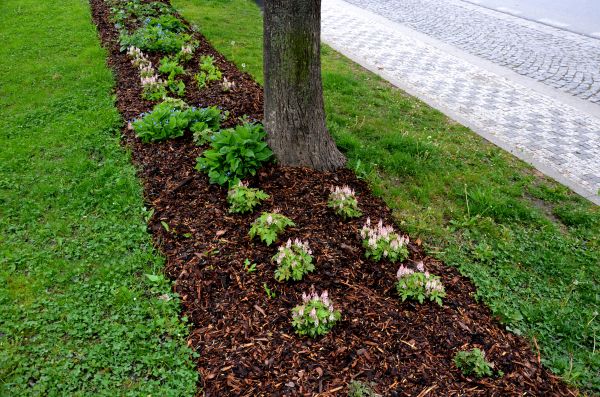Mulch Replacement Service in Huntsville