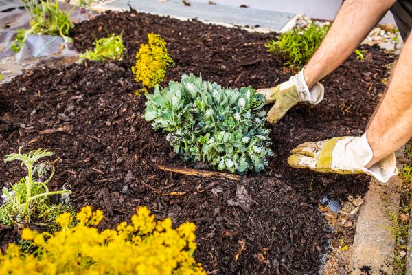 Weeding And Mulching in Huntsville