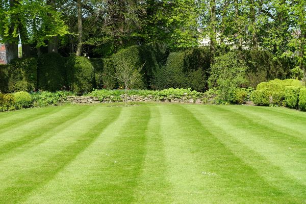 Lawn Renovation in Huntsville