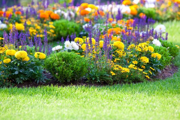 Garden Installation in Huntsville
