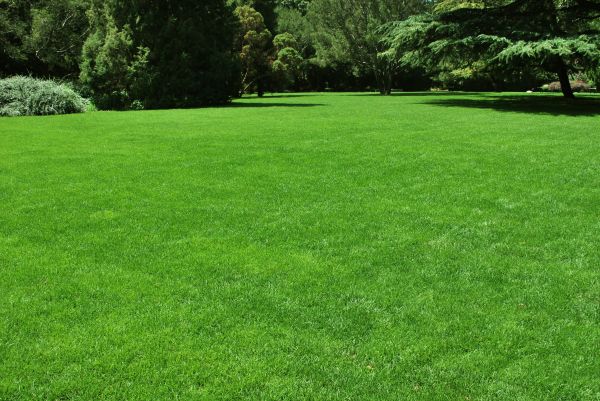 Lawn Landscaping in Huntsville