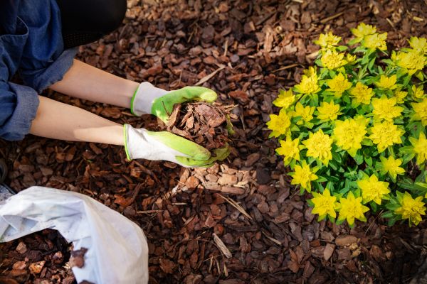 Garden Mulching in Huntsville