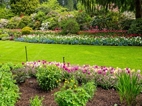 Residential Landscape Design in Huntsville