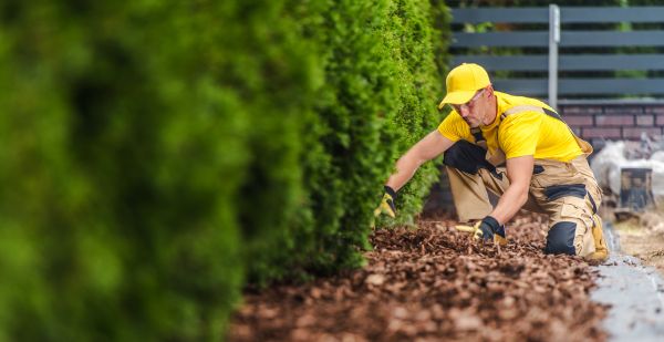 Cypress Mulch Installation in Huntsville