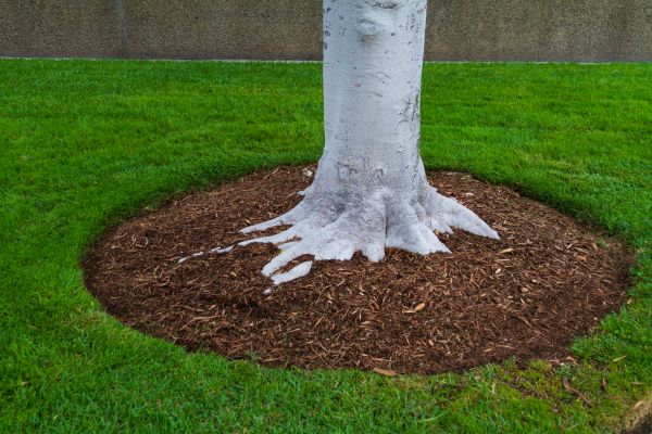Brown Mulch Installation in Huntsville