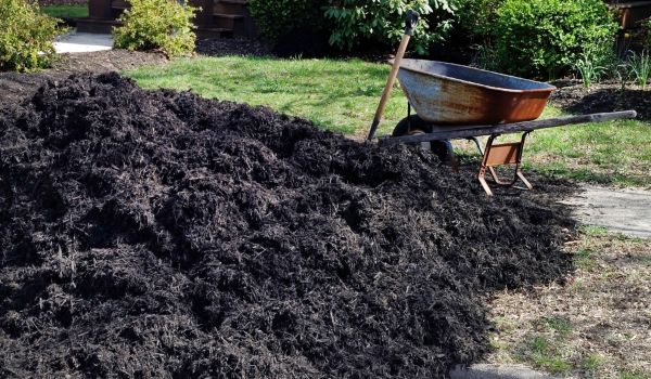 Black Mulch Installation in Huntsville