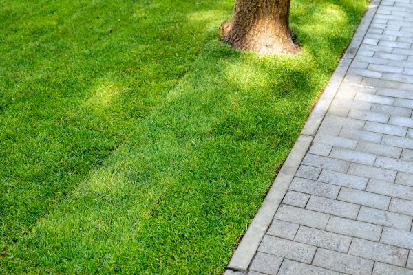 Border Stone Installation in Huntsville
