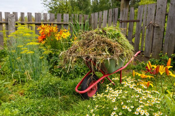 Garden Cleanup Service in Huntsville