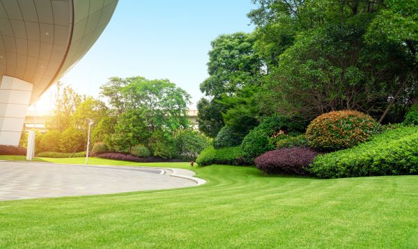 Business Landscape Design in Huntsville