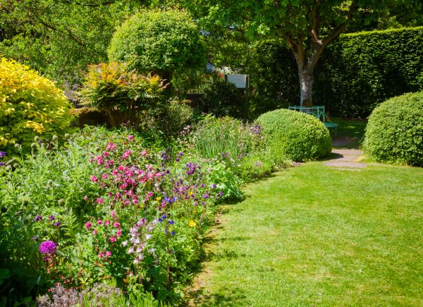Yard Landscaping Service in Huntsville