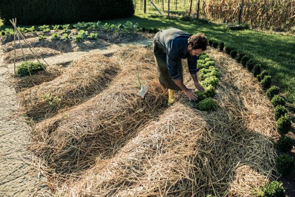 Straw Mulching Service in Huntsville