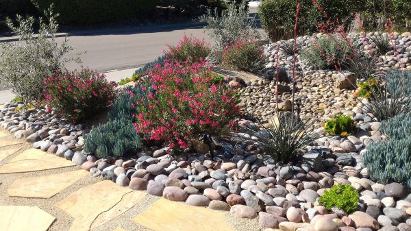 Xeriscape Landscaping in Huntsville
