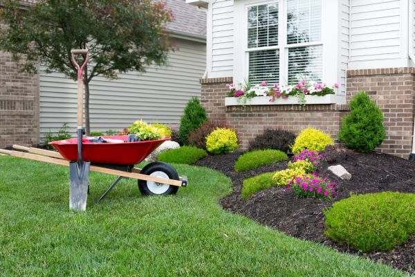 Tree And Shrub Planting in Huntsville