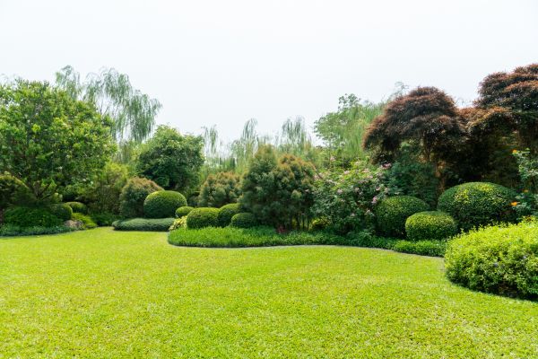 Tree Landscaping in Huntsville