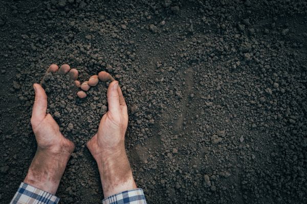 Soil Installation in Huntsville