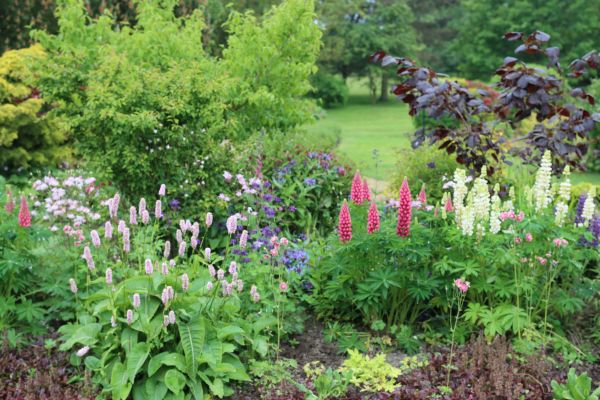 Flower Bed Planting in Huntsville