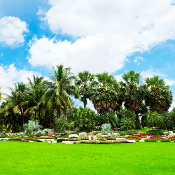 Tropical Landscaping in Huntsville