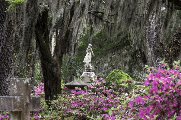 Cemetery Landscaping in Huntsville