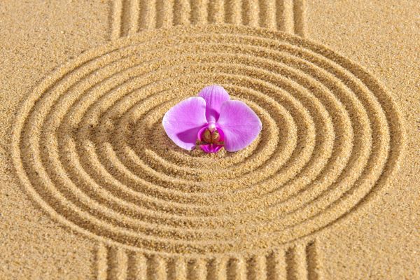 Sand Garden Landscaping in Huntsville
