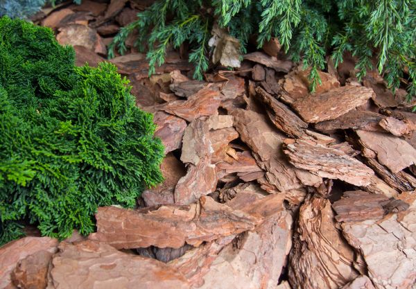Pine Bark Installation in Huntsville