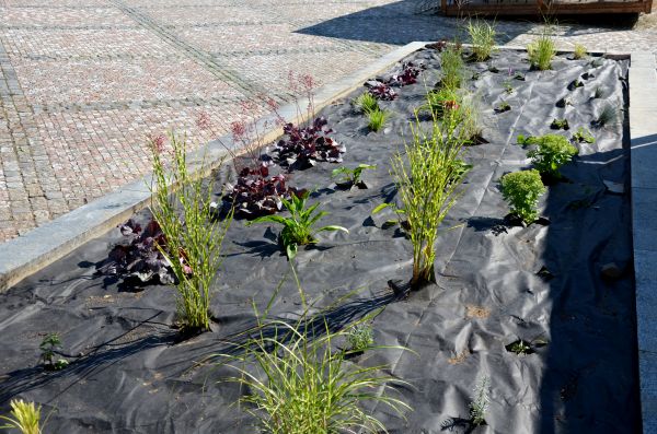 Landscape Fabric Installation in Huntsville