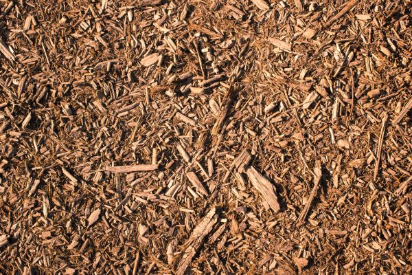 Wood Chips Removal in Huntsville