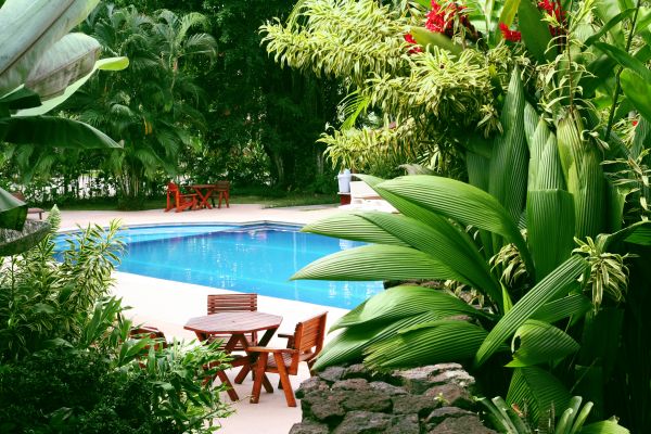 Pool Area Landscaping in Huntsville