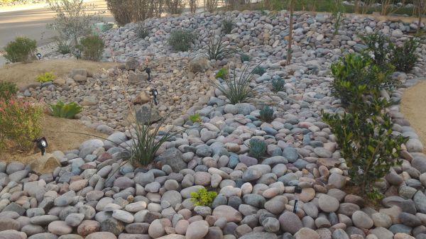 Yard Xeriscaping in Huntsville