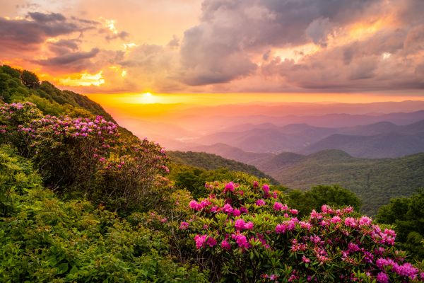 Hill Landscaping in Huntsville