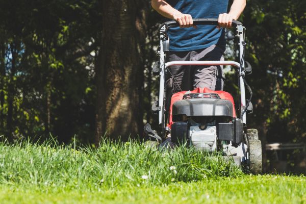 Garden Trimming Service in Huntsville