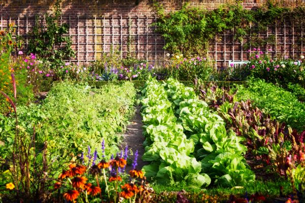 Garden Planting Service in Huntsville