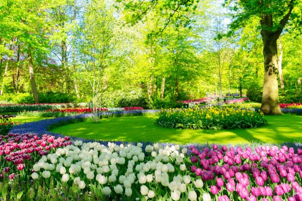 Flower Landscaping in Huntsville