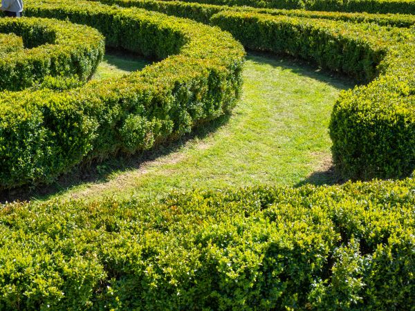 Bush Landscaping in Huntsville