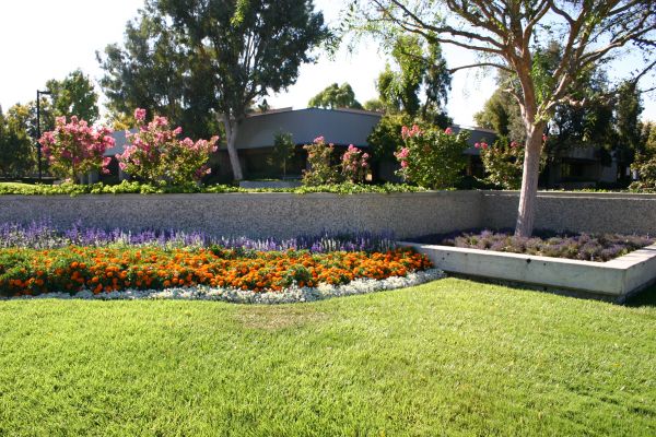 Commercial Landscape Service in Huntsville