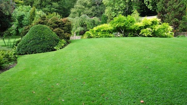 Commercial Landscape Design in Huntsville
