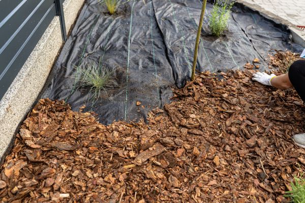 Pine Bark Spreading in Huntsville