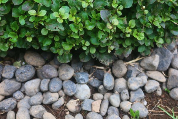 River Stone Installation in Huntsville