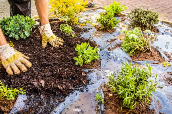 Mulch Fabric Installation in Huntsville