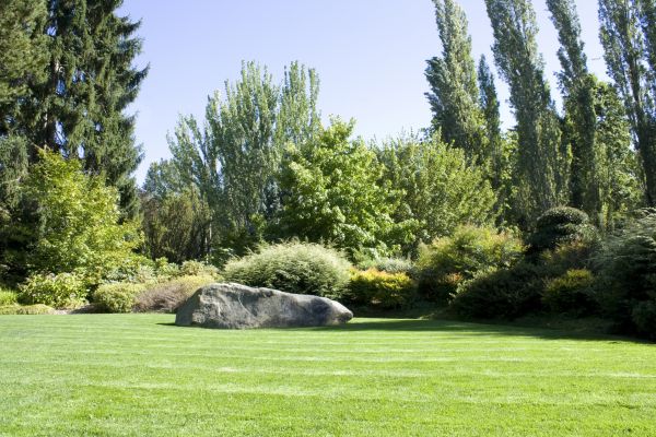 Yard Enlargement in Huntsville