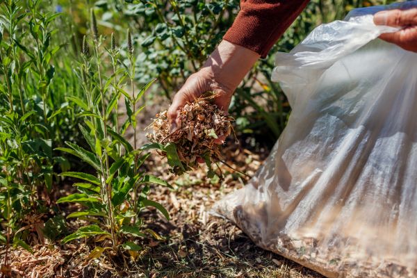 Wood Mulch Installation in Huntsville