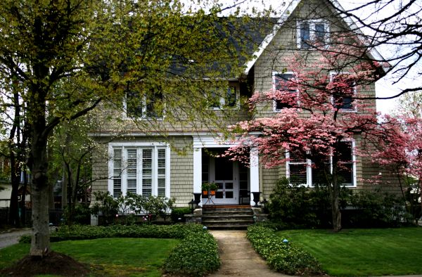 Ornamental Tree Planting in Huntsville