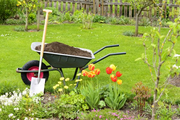 Spring Yard Renovation in Huntsville