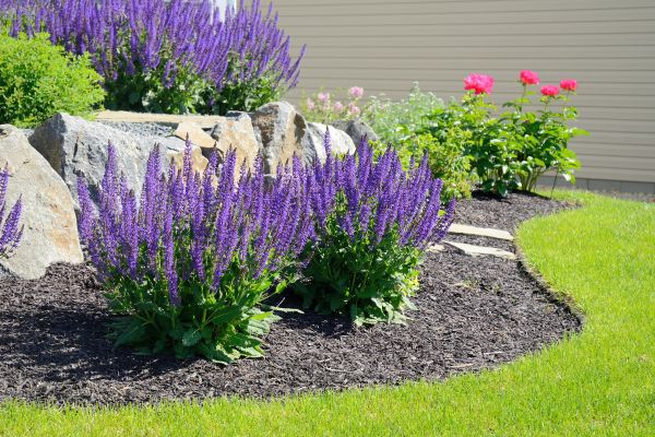 Landscape Planting Service in Huntsville