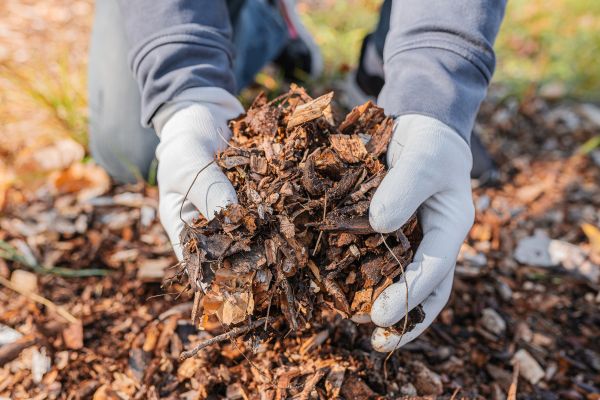 Shredded Mulch Installation in Huntsville