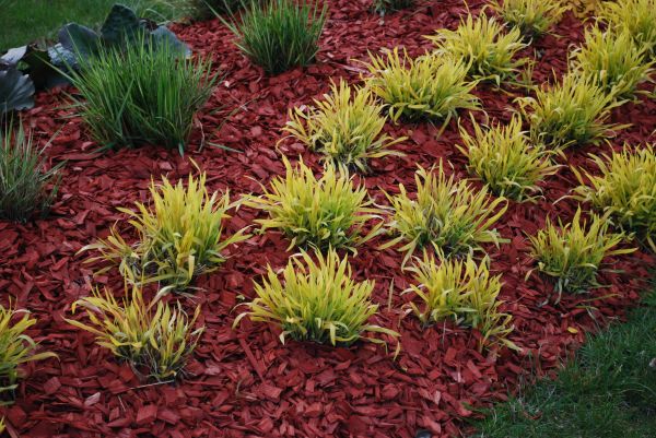 Red Mulch Installation in Huntsville