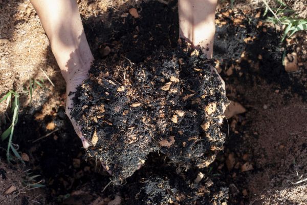 Organic Mulch Installation in Huntsville