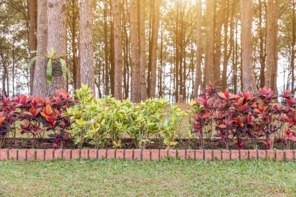 Small Garden Landscaping in Huntsville
